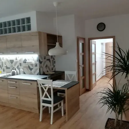 Apartmany U Holubu Roznov pod Radhostem Exterior photo