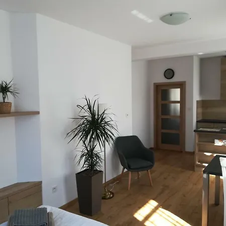 Apartmany U Holubu Roznov pod Radhostem Exterior photo