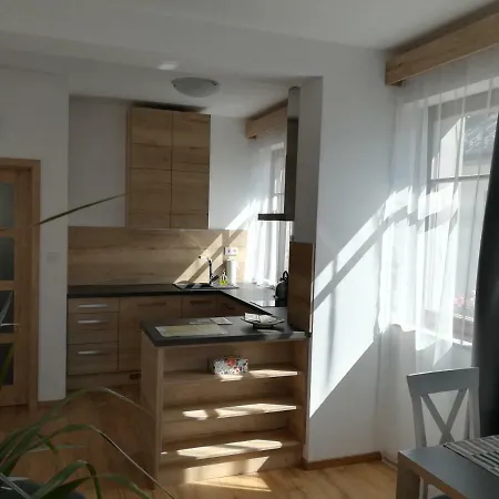 Apartmany U Holubu Roznov pod Radhostem Exterior photo
