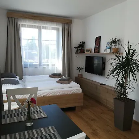 Apartmany U Holubu Roznov pod Radhostem Exterior photo