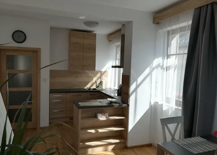 Apartmany U Holubu
