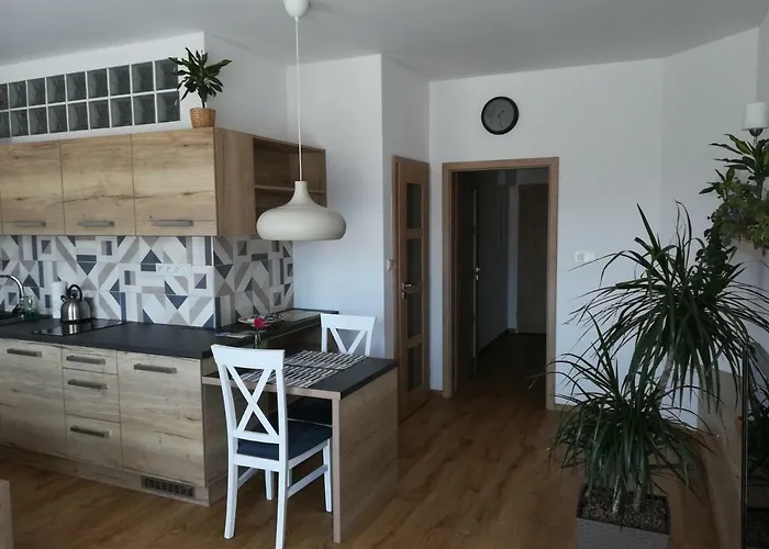 Apartmany U Holubu