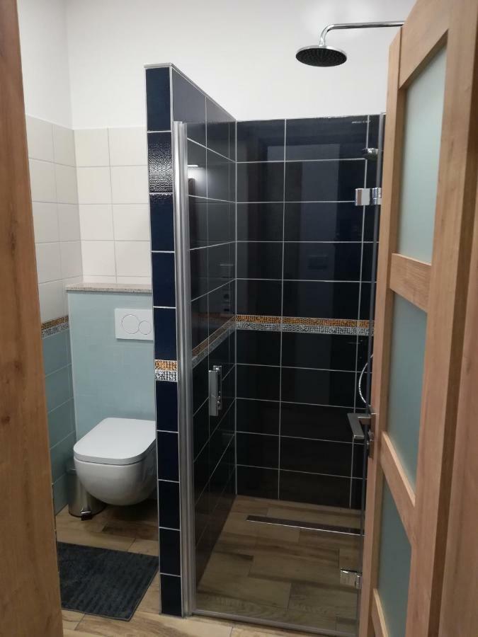 Apartment U Holubu *