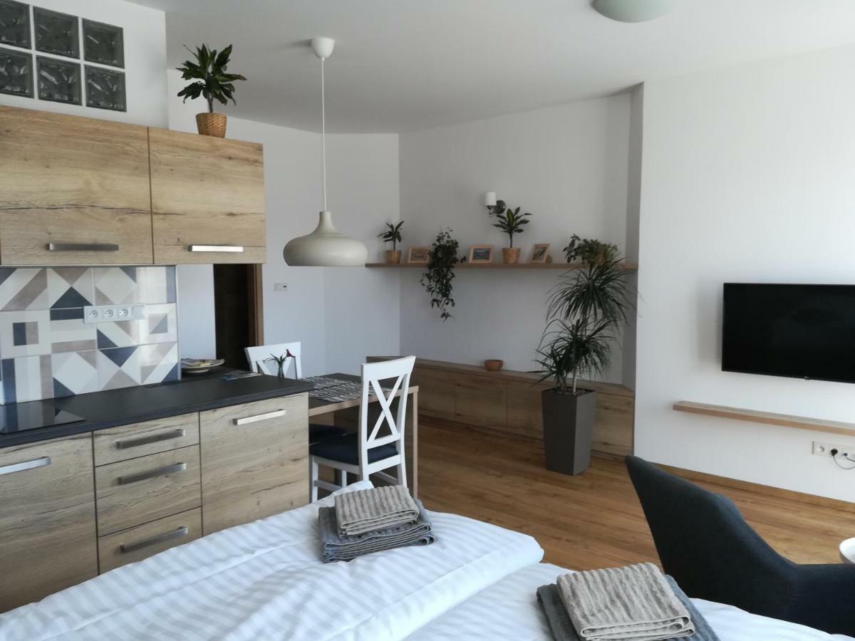 Apartment U Holubu